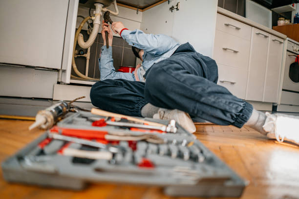 Best Water Softener Installation  in Elk Grove Vlage, IL