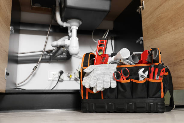 Best Same-Day Plumbing Service  in Elk Grove Vlage, IL