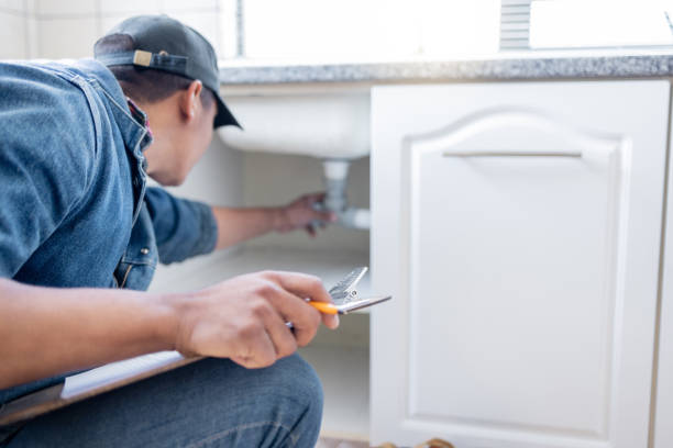 Best Septic Systems  in Elk Grove Vlage, IL