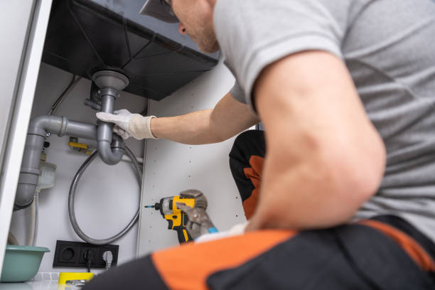 Best Affordable Plumber Near Me  in Elk Grove Vlage, IL
