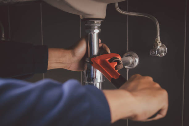 Best Clogged Drain Plumber  in Elk Grove Vlage, IL
